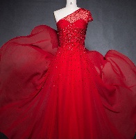 thirteen photo of the dress model